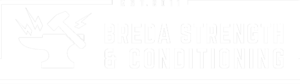 bredasc-logo